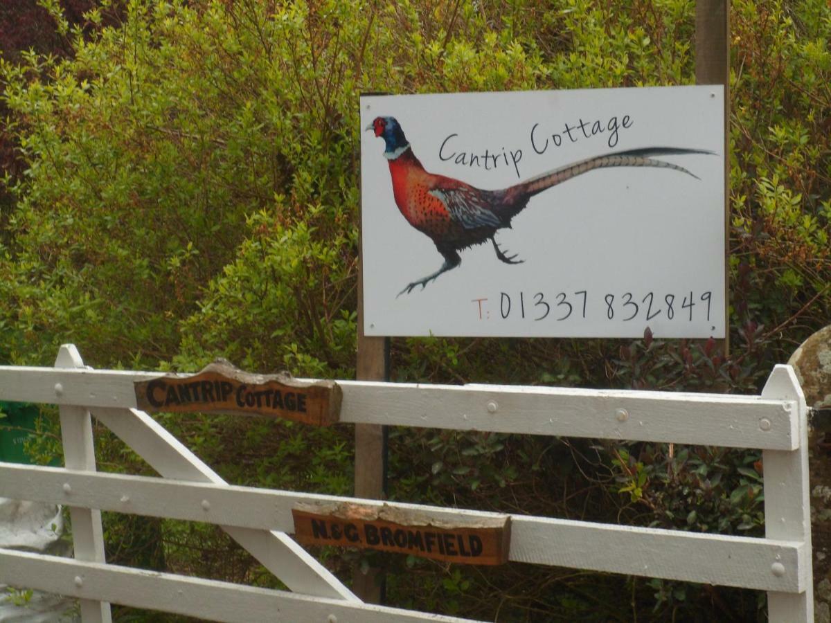 Cantrip Cottage 库珀 外观 照片